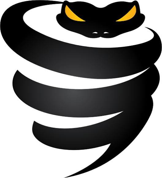 Vyper VPN - 1 Month